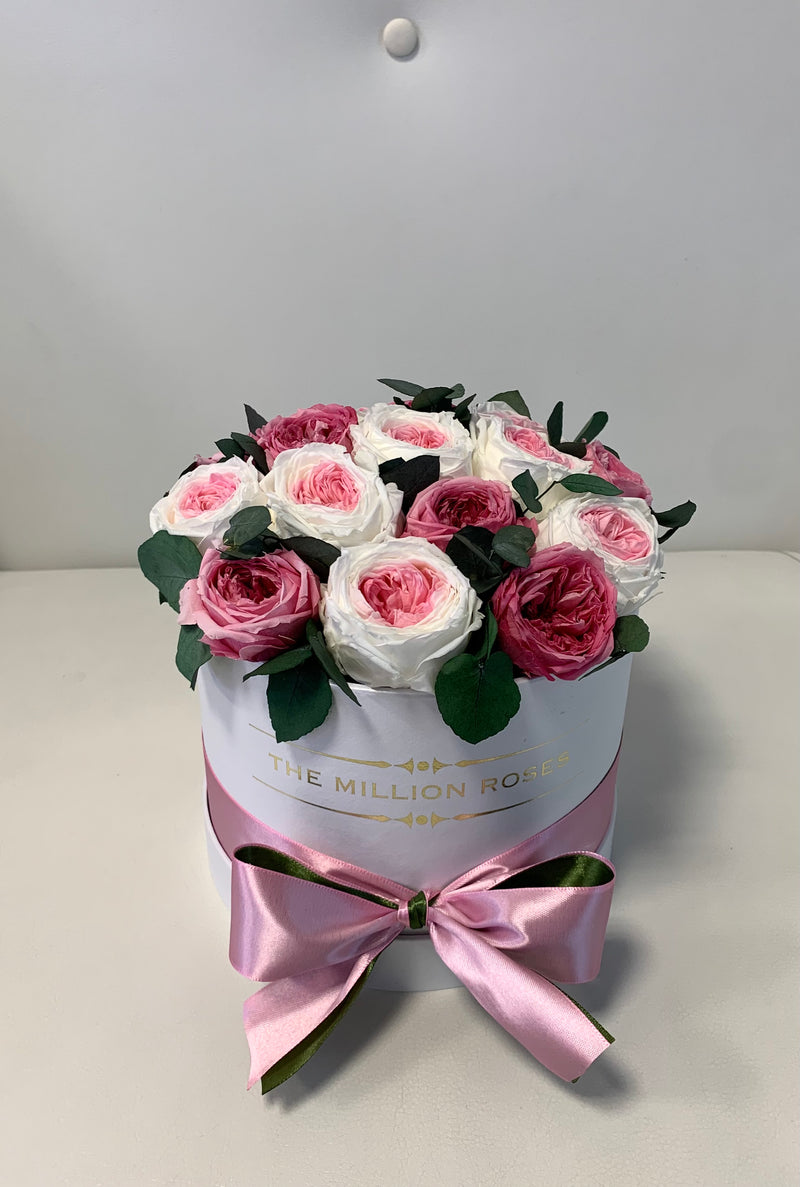 Small - White & Pink Eternity English Roses - White Box - The Million Roses Slovakia