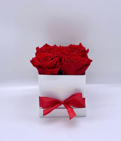 Biely hranatý box - červené trvácne ruže - The Million Roses Slovakia