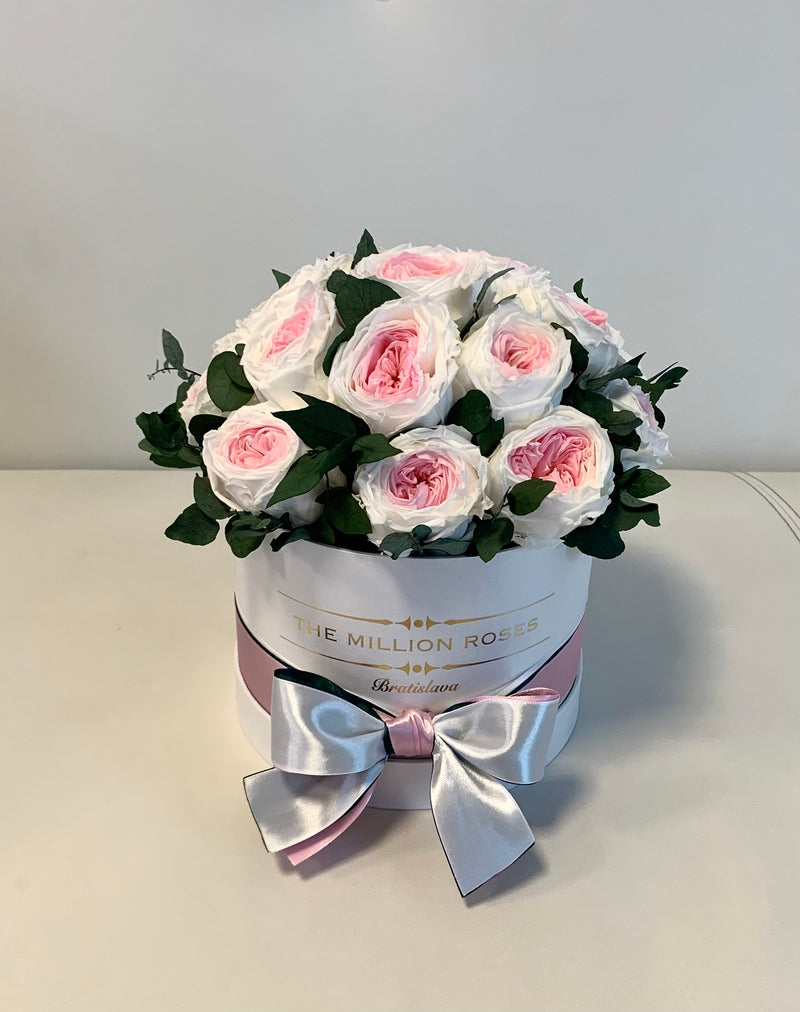 Small - White & Pink Eternity English Roses - White Box - The Million Roses Slovakia