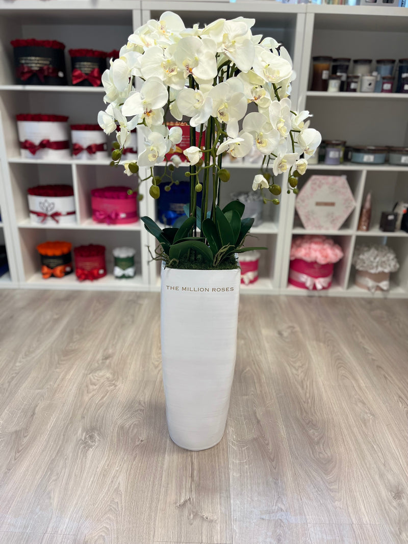 Orchidea s kvetináčom 120 cm, biela - The Million Roses Slovakia