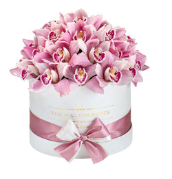 Small - Pink Orchids - White Box - The Million Roses Slovakia