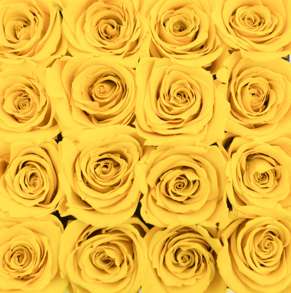 Cube - Yellow Roses - Black Box - The Million Roses Slovakia