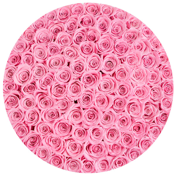 The Million Large Luxury Box - Candy Pink Eternity Roses - White Box - The Million Roses Slovakia
