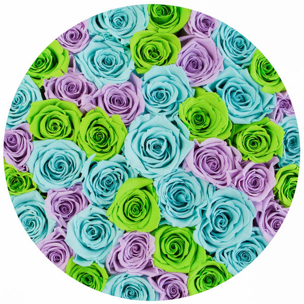 Medium - Colorful Eternity Rose Selection - The Million Roses Slovakia