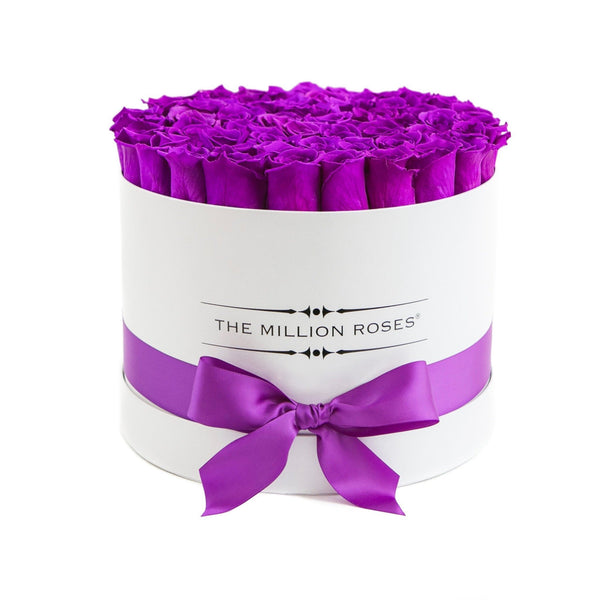 Medium - Purple Eternity Roses - White Box - The Million Roses Slovakia