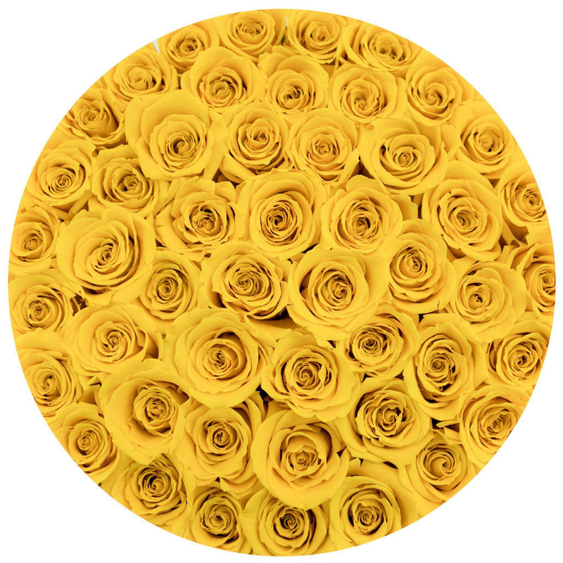 Medium - Yellow Roses - White Box - The Million Roses Slovakia