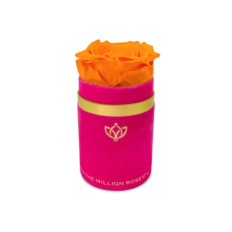 Single Rose Box - Pink Suede - The Million Roses Slovakia