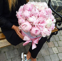 Medium - Light Pink Peonies - White Box - The Million Roses Slovakia