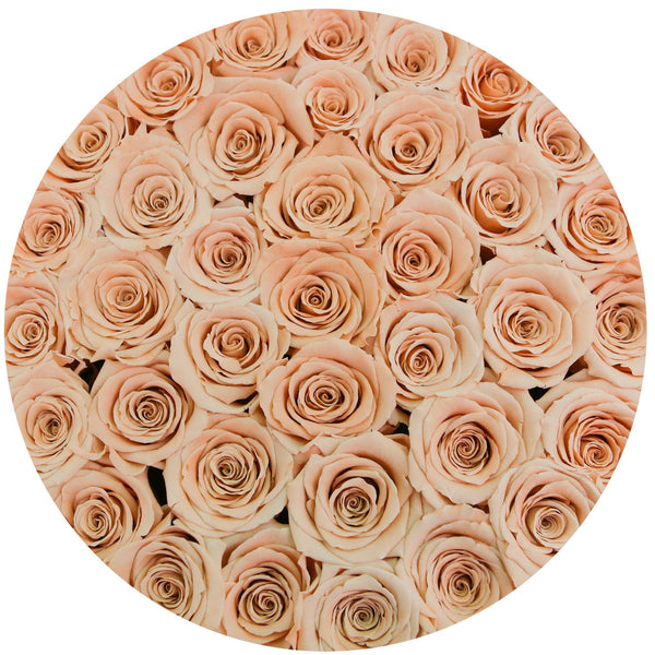 Medium - Peach Eternity Roses - White Box - The Million Roses Slovakia