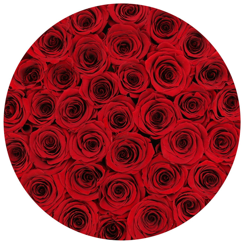 Medium - Red Eternity Roses - Black Box - The Million Roses Slovakia