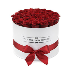 Medium - Red Eternity Roses - White Box - The Million Roses Slovakia