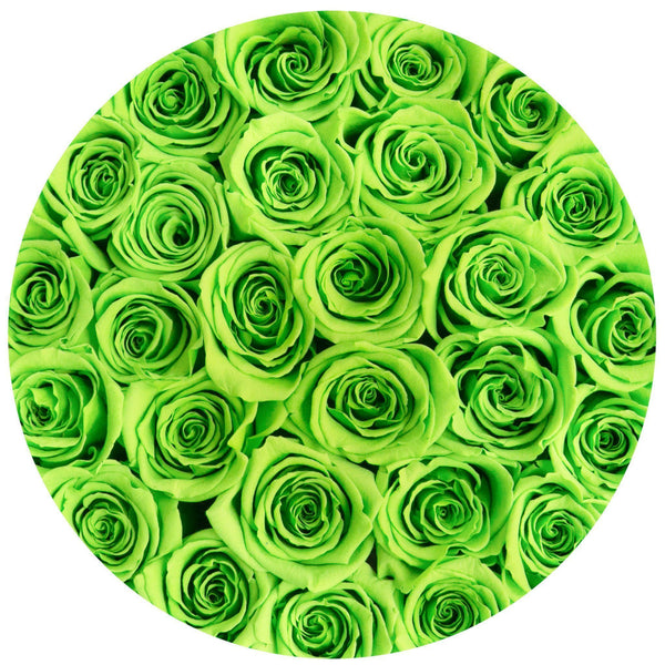 Small - Green Eternity Roses - Vanilla Box - The Million Roses Slovakia