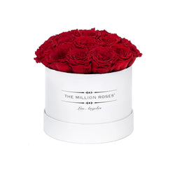 Small - Red Eternity Roses "Sphere" - White Box - The Million Roses Slovakia