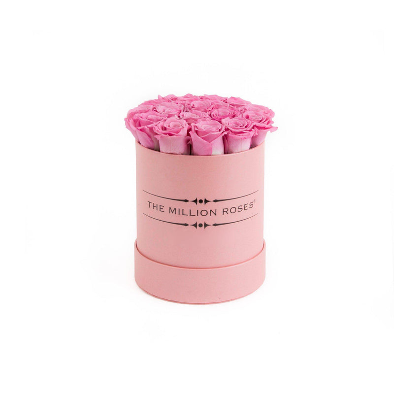 The Million Basic - Candy Pink  Roses - Pink Box - The Million Roses Slovakia