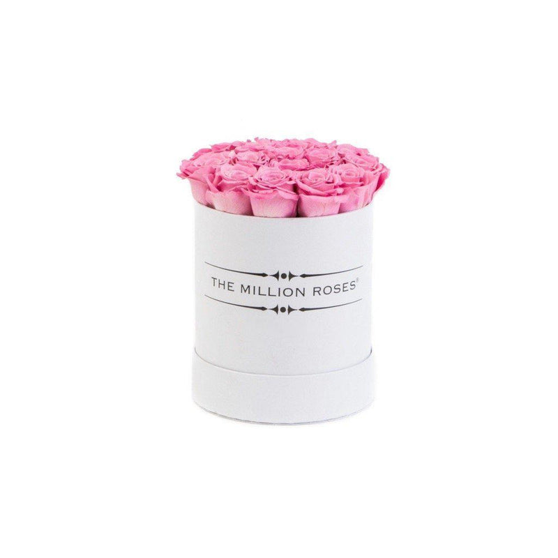 The Million Basic - Candy Pink Roses - White Box - The Million Roses Slovakia