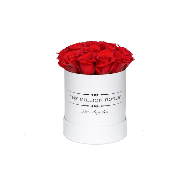 The Million Basic - Red Roses - White Box - The Million Roses Slovakia