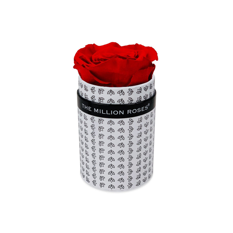 Single Rose Box - White All Over Logo - The Million Roses Slovakia