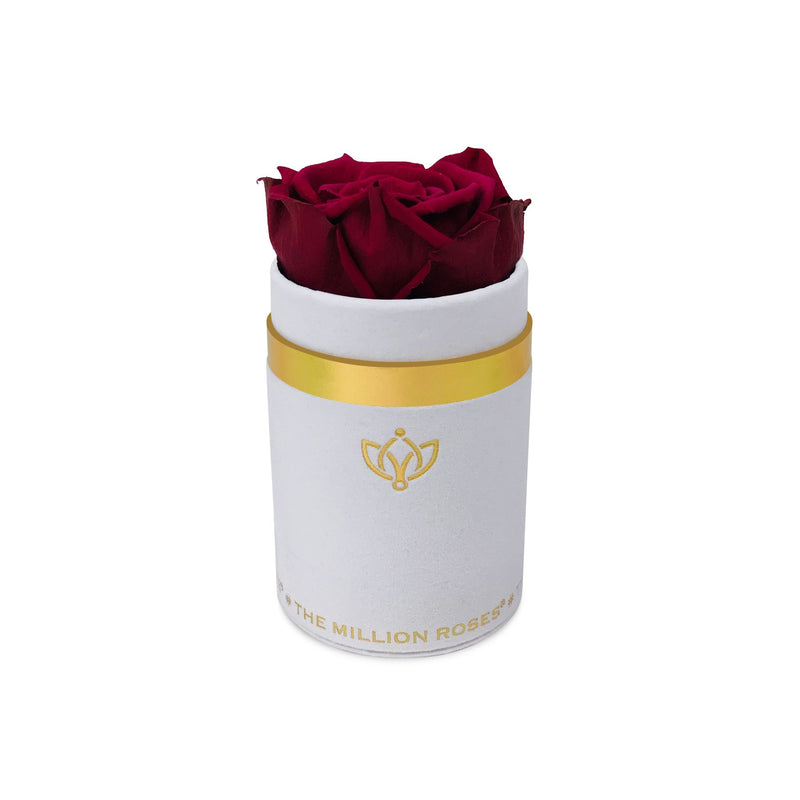 Single Rose Box - White Suede - The Million Roses Slovakia
